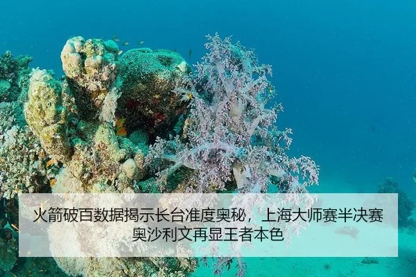 火箭破百数据揭示长台准度奥秘，上海大师赛半决赛奥沙利文再显王者本色